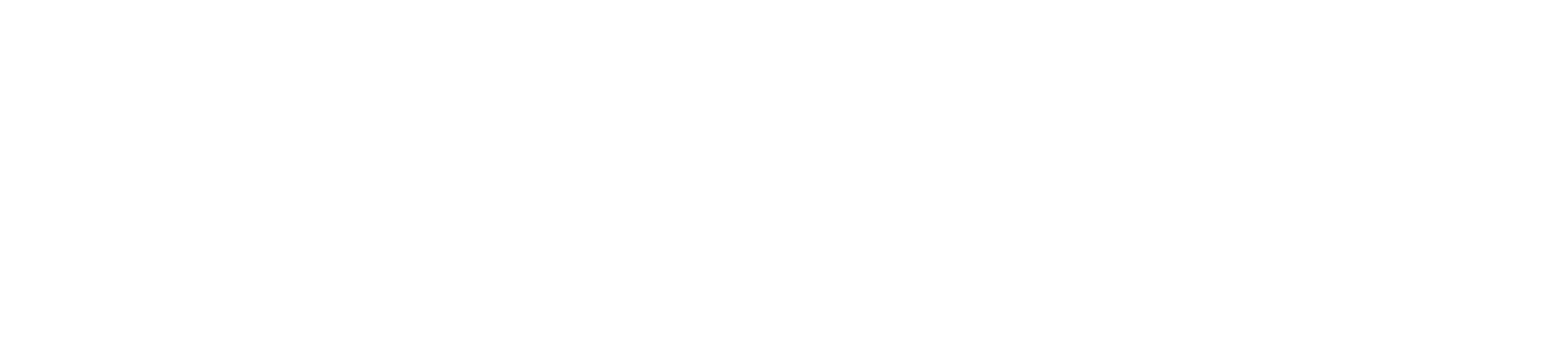 ActiaFleet